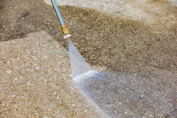 Best Driveway Pressure Washing  in Elk Mound, WI